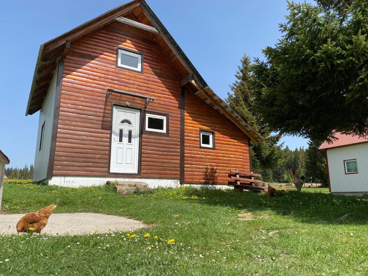 Cottage Uskoci Zabljak  Luaran gambar