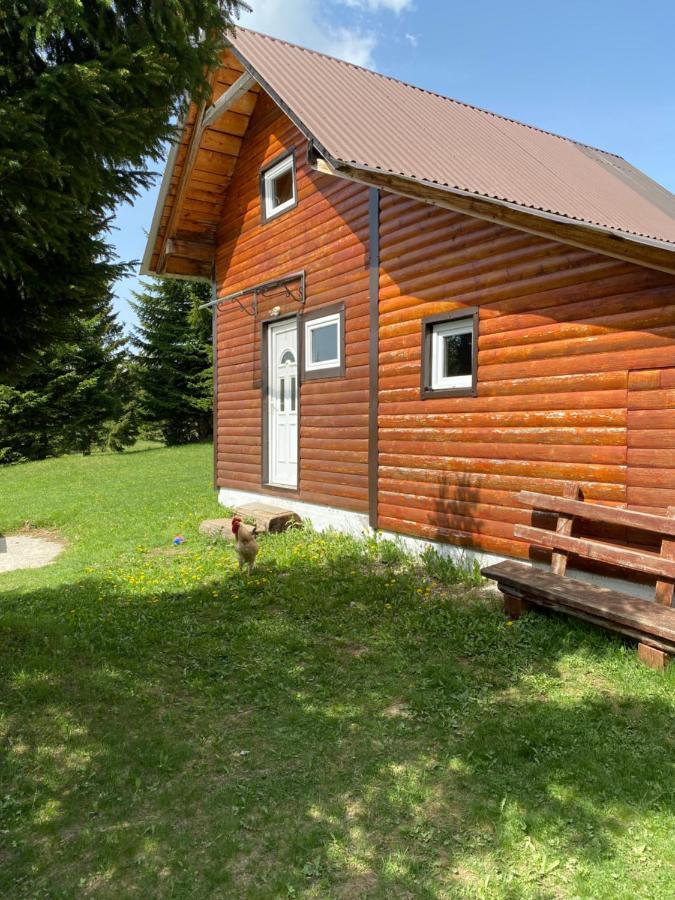 Cottage Uskoci Zabljak  Luaran gambar