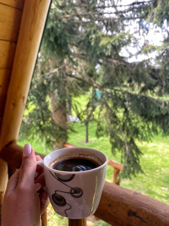 Cottage Uskoci Zabljak  Luaran gambar