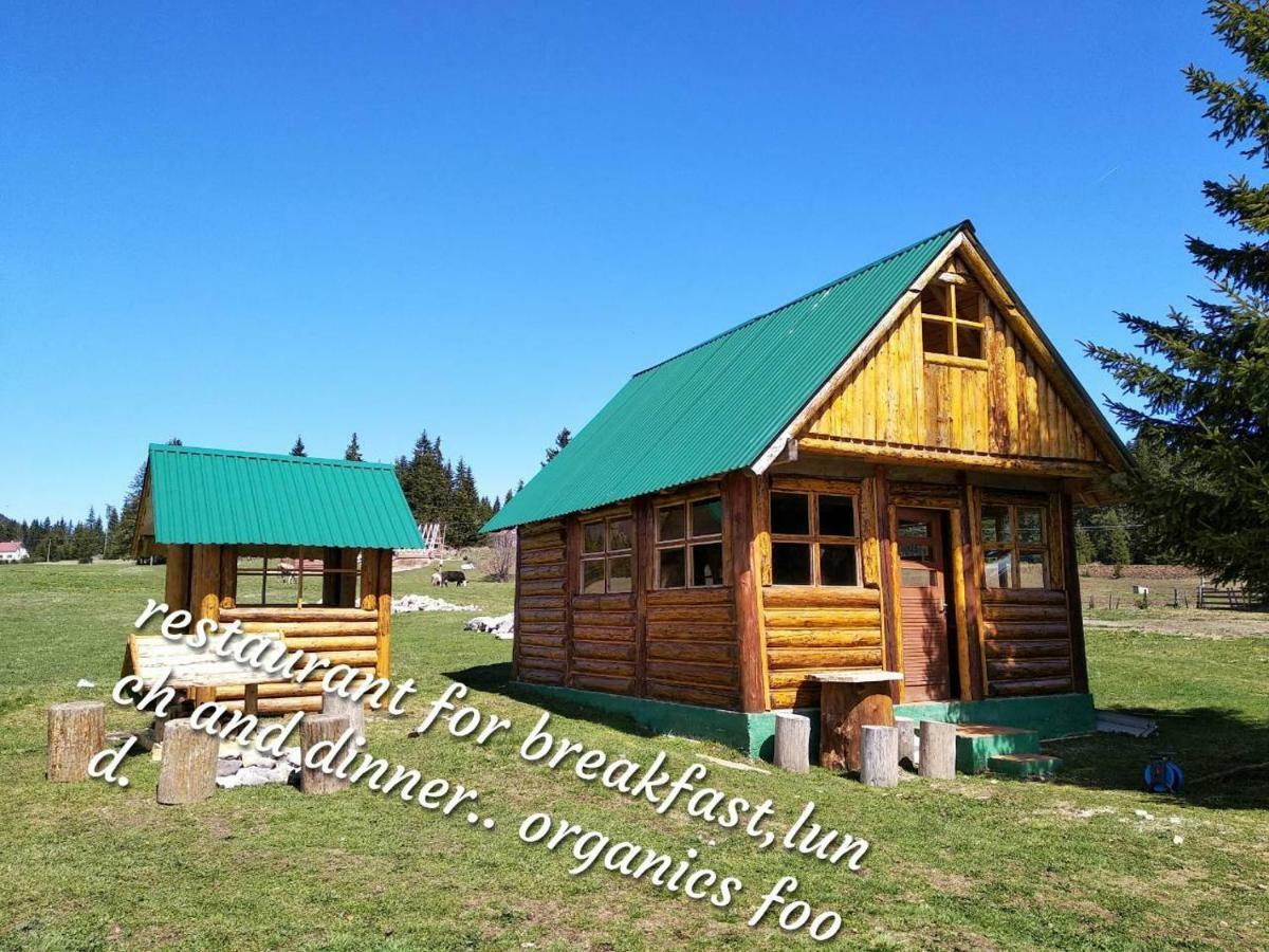 Cottage Uskoci Zabljak  Luaran gambar